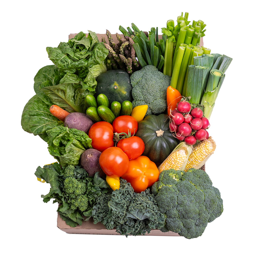 Veggie Variety Box