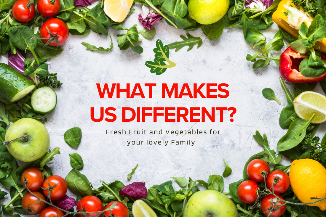 What Makes Fresh N Dish Different?